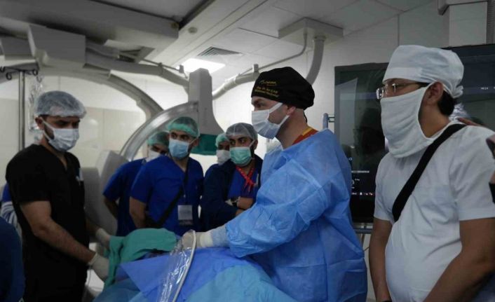 "İğneyle" tümör tedavisine uluslararası ilgi: Canlı canlı izlediler