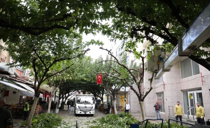 İncirliova Sevgi Yolu’ndaki ağaçlara bakım