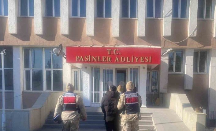 Jandarma büyükbaş hayvan hırsızlarını kısa sürede yakaladı