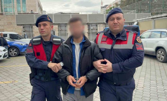 Jandarmadan uyuşturucu operasyonu: 1 gözaltı