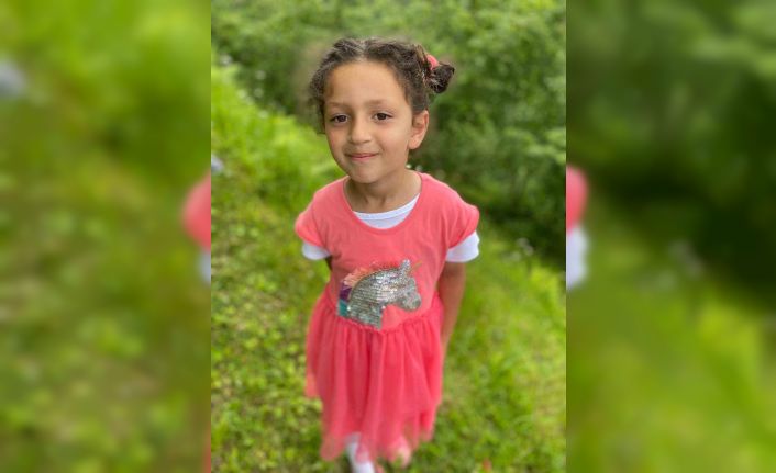 Kaldırımda yürürken dehşeti yaşamışlardı; Minik Elif yaşam mücadelesini kaybetti