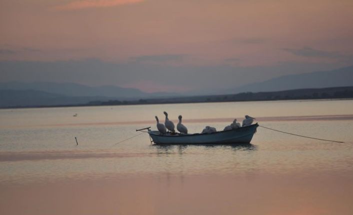Karacabey’de çeltik ekimi yasaklandı