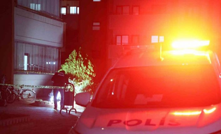 Karısını 22 bıçak darbesiyle öldüren zanlı, "Kolumda Ebru yazıyor" diye kendini savundu