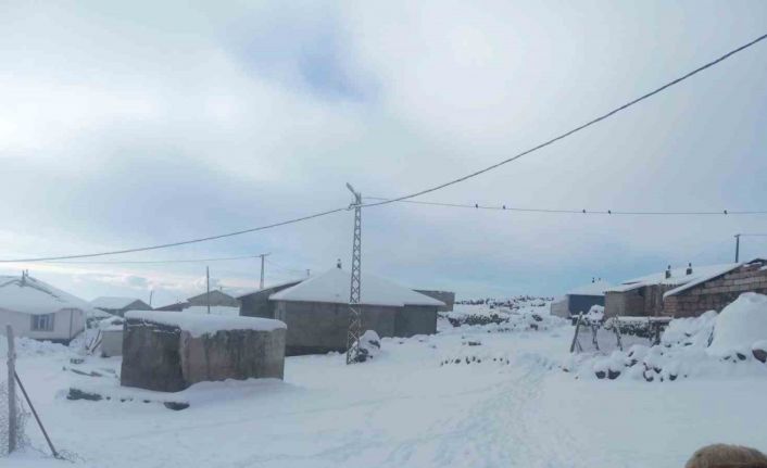 Karla birlikte Türkiye’nin en yüksek köyü Kışkılı’da besiciler zor durumda kaldı