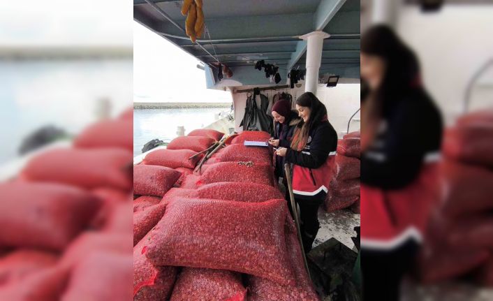 Kastamonu’da beyaz kum midyesi denetimi