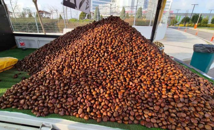 Kestane sezonu açıldı: Kilosu 175 lira