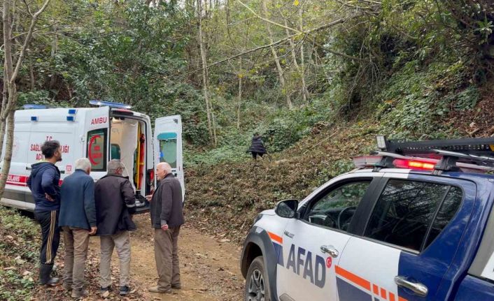 Kestiği ağacın çarptığı vatandaş uçuruma yuvarlandı