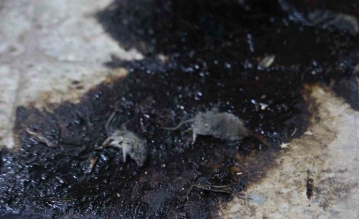 Kilis’te hijyen şartlarına aykırı üretim yapan işletmeye 105 bin TL ceza