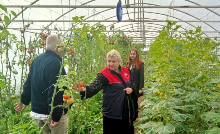 Kırklareli’nde sera kontrolleri