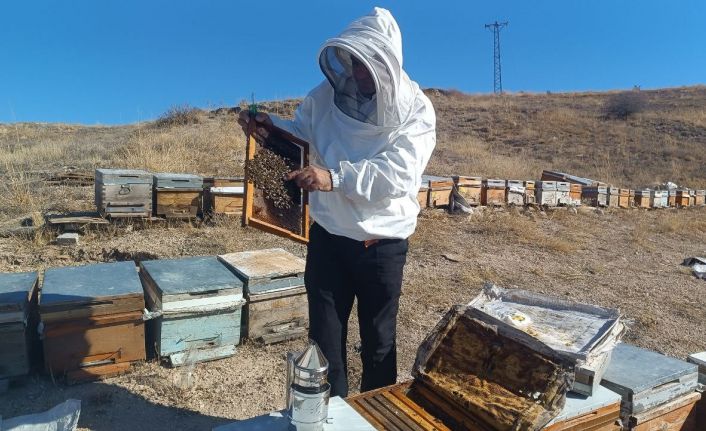 Kışa hazırlanan üreticiden sahte bal uyarısı