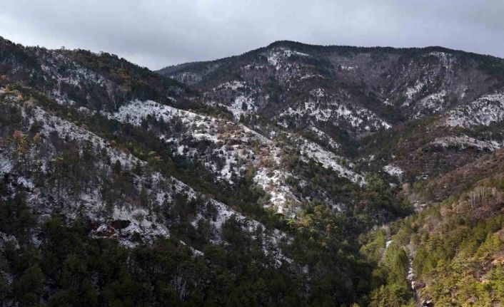 Kızılcahamam’da kar yağışı etkili oldu: Soğuksu Milli Parkı’nda kartpostallık manzaralar oluştu