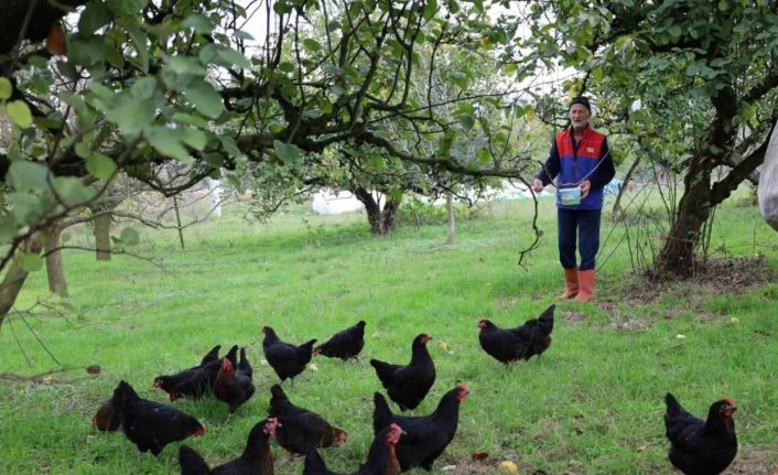 Kocaeli’de kırsal kalkınmaya "kanatlı" destek