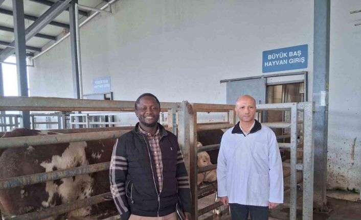 Kocaeli’deki mezbaha tesisi İslam ülkelerine örnek gösterildi