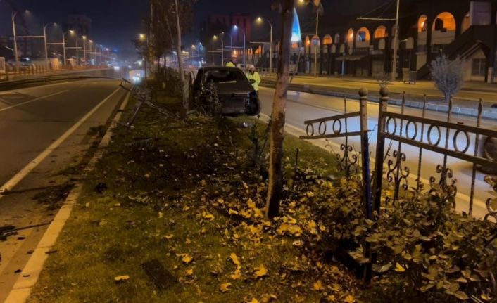 Köpeğe çarpmamak için manevra yapan sürücü refüje çıktı