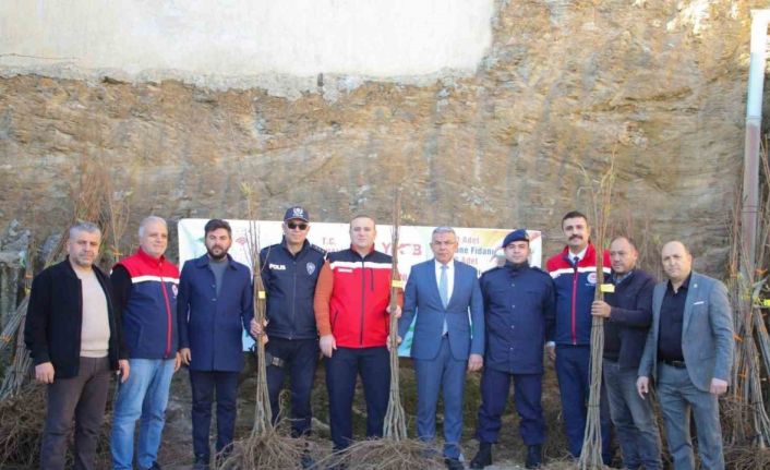 Köşklü üreticilere kestane fidanı dağıtıldı