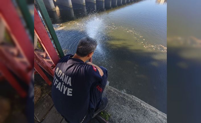 Kuraklık balıkları vurdu