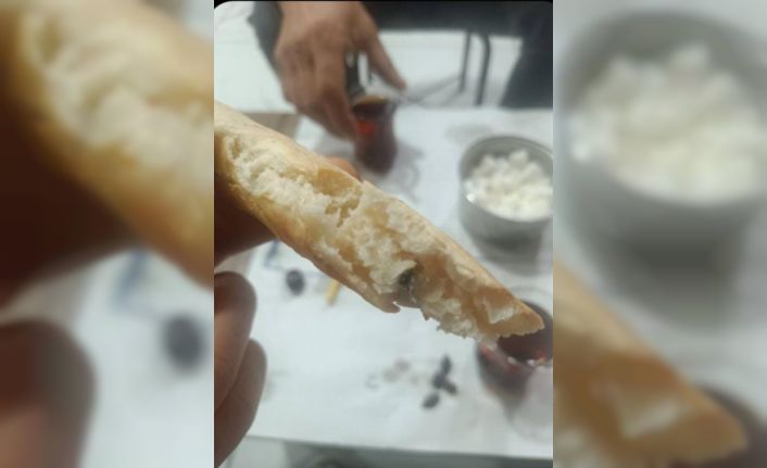 Kurtalan’da ekmeğin içinden sinek çıktı