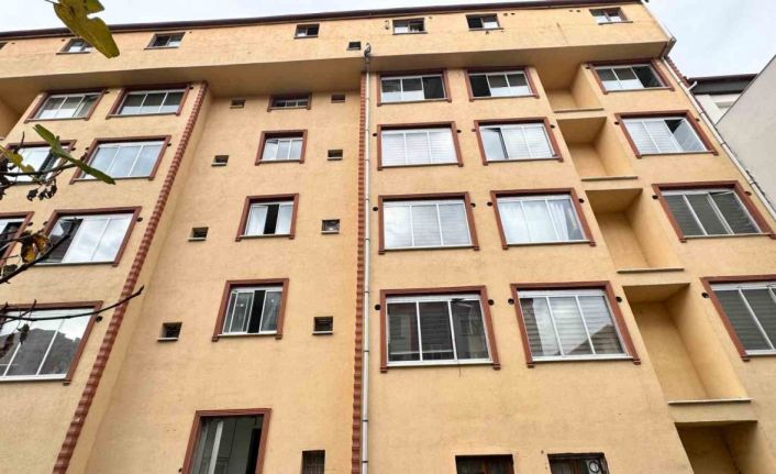 Mahsur kalan kedi için yatak taşıyıp battaniye gerdiler