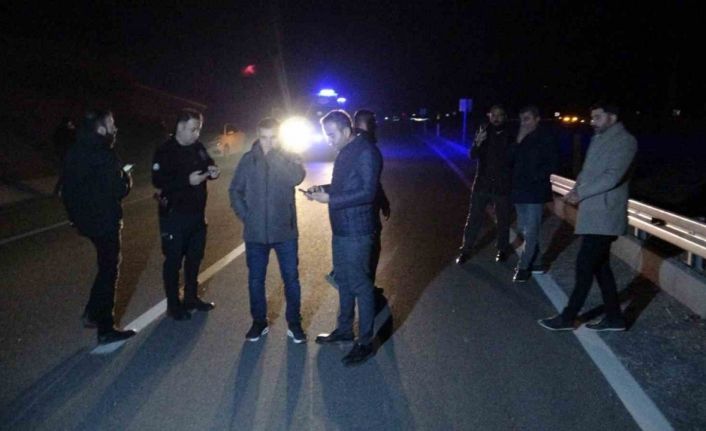 Malatya’da kaçan yarış atları karayoluna çıktı: 6 at telef oldu, 2 kişi yaralandı