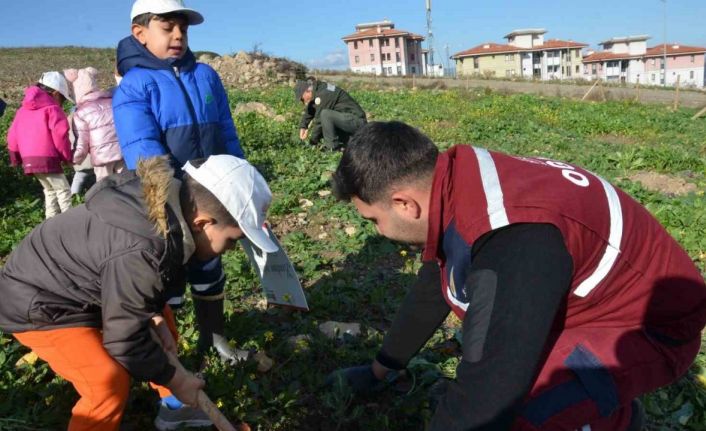 Manisa’da yanan alanlara 100 bininci fidan dikildi