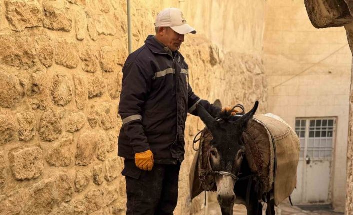 Mardin’de ’kadrolu’ eşekleri emekli edecek proje hayata geçiyor