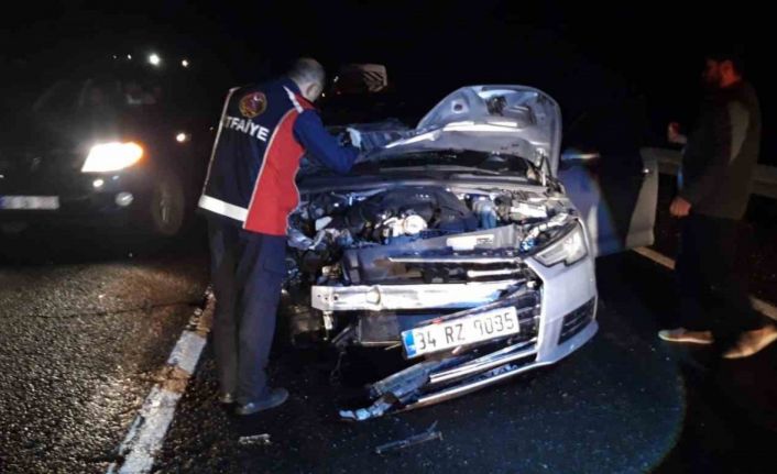 Mardin’de otomobilin çarptığı at telef oldu