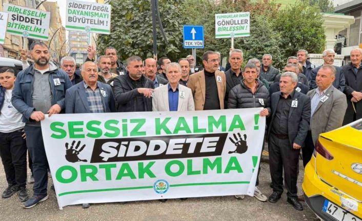 Mardin’de STK’lardan ’şiddete karşı ortak vicdan’ çağrısı