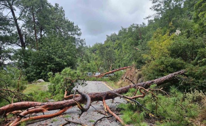 Menteşe Akbük’te şiddetli yağış ve rüzgar etkili oldu