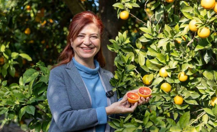 Mersin kan portakalında hedef AB tescili