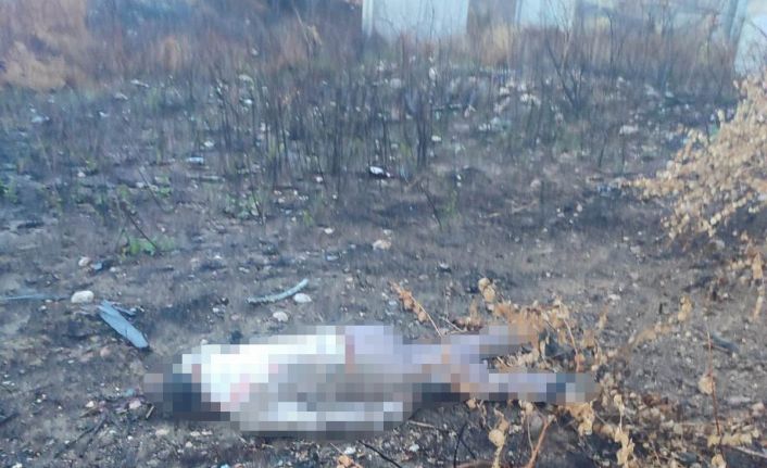 Mersin’de kaza yapan araç otoyolda, sürücüsü 30 metrelik köprünün altında ölü bulundu