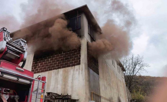 Meyve kasalarının bulunduğu depo küle döndü