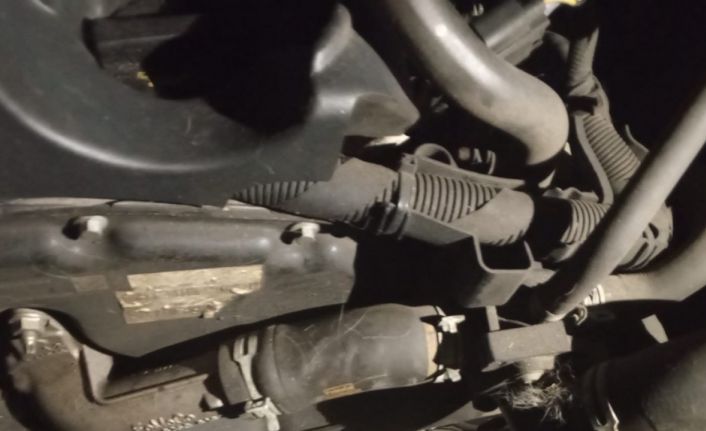 Minibüsün motoruna sıkışan kedi kurtarıldı