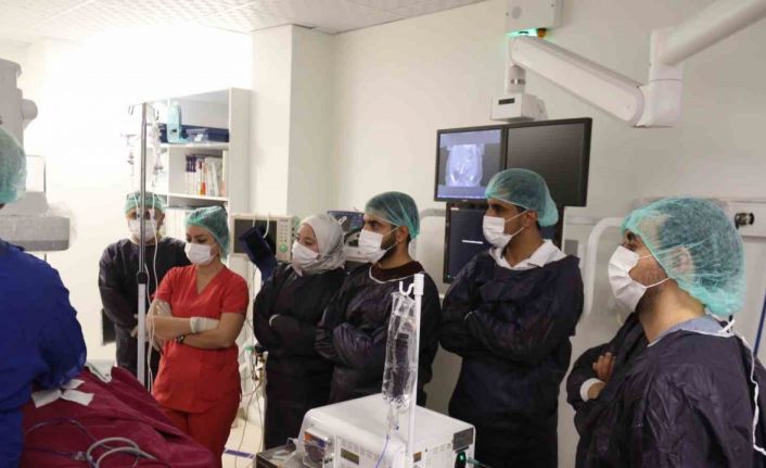 Mısırlı doktorlar tecrübe için Türk doktorlarını seçti