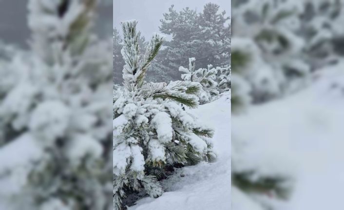 Muğla’ya mevsimin ilk karı yağdı