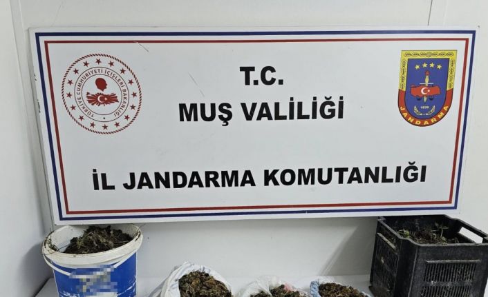 Muş’ta uyuşturucu operasyonu