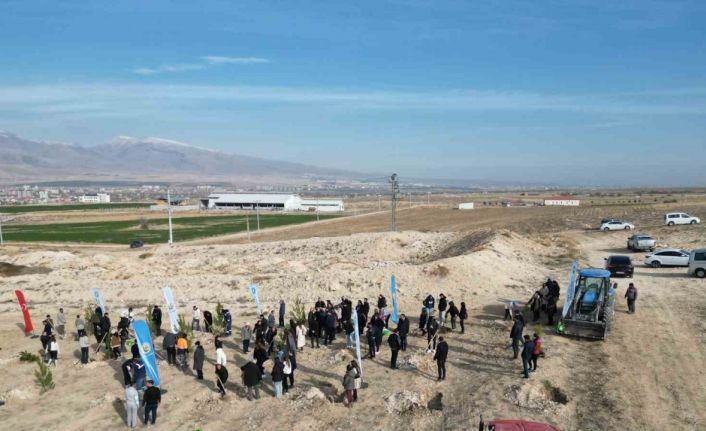 Niğde’de bal ormanı için 5 bin fidan toprakla buluştu