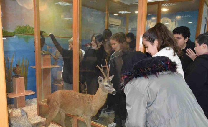 Öğrenciler hayvan müzesini ilgi ile gezdi