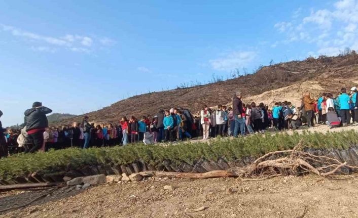 Öğrenciler, orman yangınında zarar gören alana fidan dikti