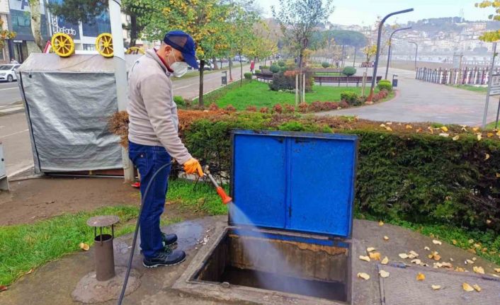 Ordu’da haşerelere karşı kışlak çalışması başlatıldı