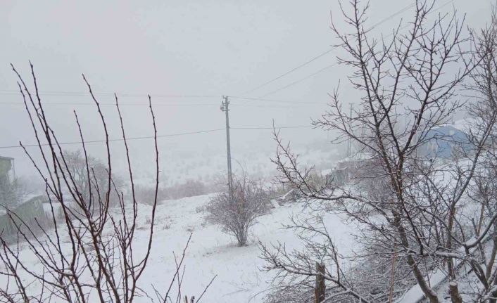 Posof’ta kar yağışı etkili oluyor