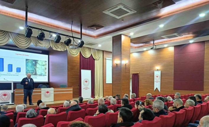 Prof. Dr. Yeninar: "Arı ölümlerinin çoğu kışlamaya bağlı ortaya çıkıyor"