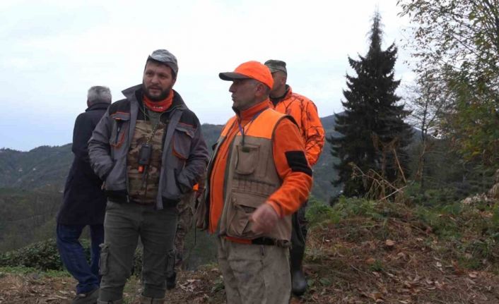 Rize’de ayı için sürek avı başlatıldı