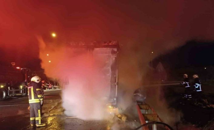 Şanlıurfa’da beyaz eşya yüklü tır alev alev yandı