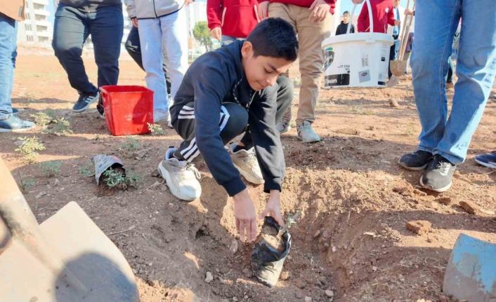 Şanlıurfa’da "Yeşeren Okullar Projesi" ile fidanlar toprakla buluştu