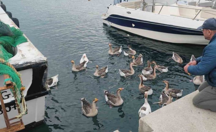 Şarköy’ün maskotu ’Vakvaklar’
