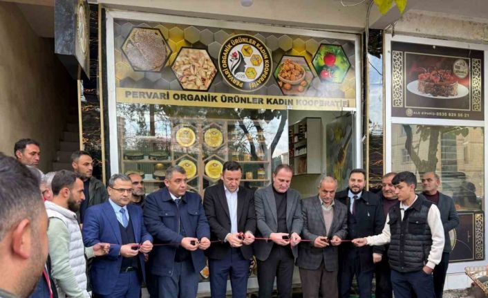 Siirt’te 12 kadın kooperatifleşti