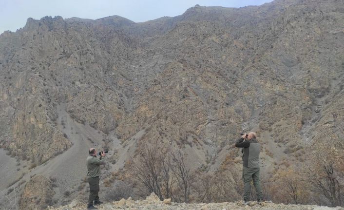 Siirt’te kaçak avlanmaya 15 bin lira ceza