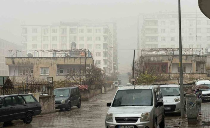 Siirt’te sis ve sağanak yağış etkili oldu