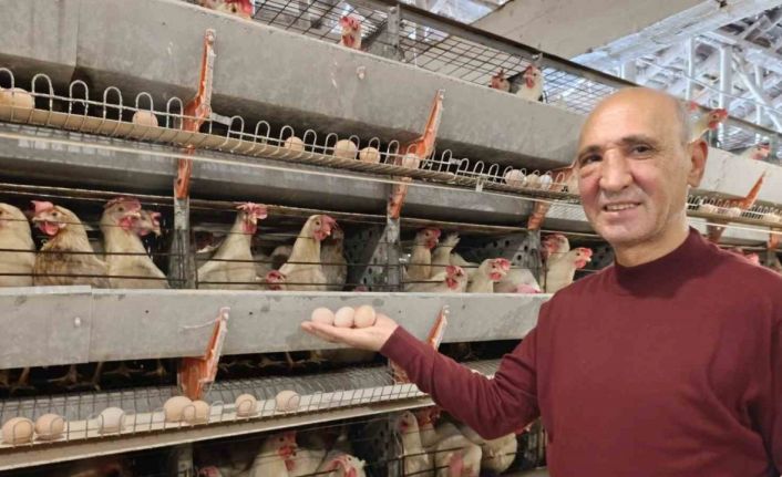 Simav’ın Kuşu beldesinde günlük 15 bin yumurta üretimi