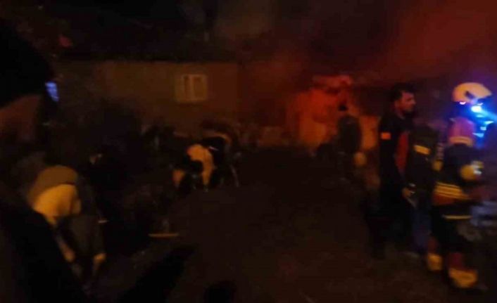 Sındırgı’da hayvan damı ve samanlıkta yangın